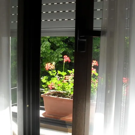 Ristorante Olimpia アッバディーア・サン・サルヴァトーレ